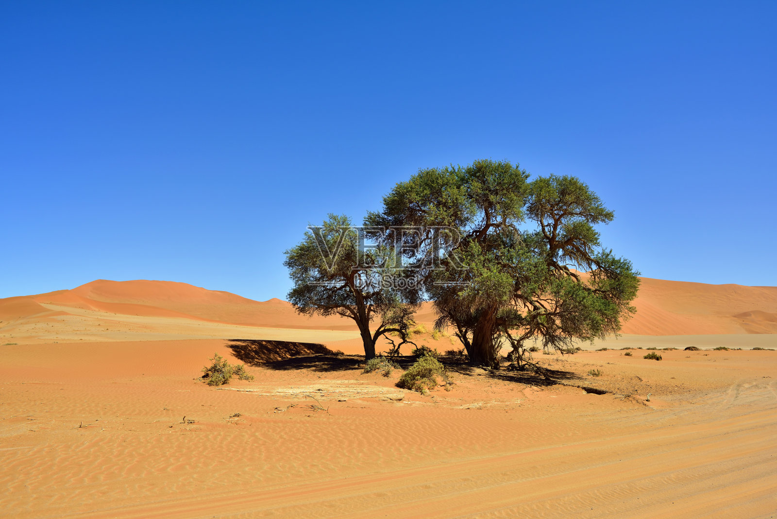 Sossusvlei，纳米比亚Naukluft国家公园，纳米比亚照片摄影图片