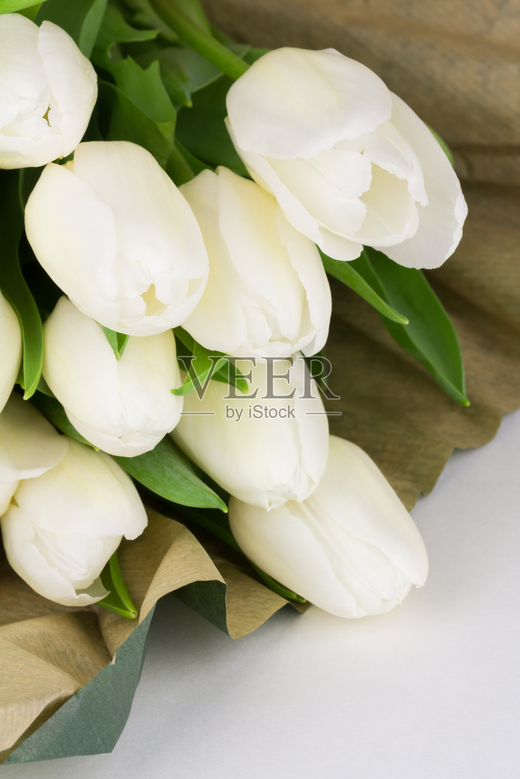 新鲜的白色郁金香束照片摄影图片