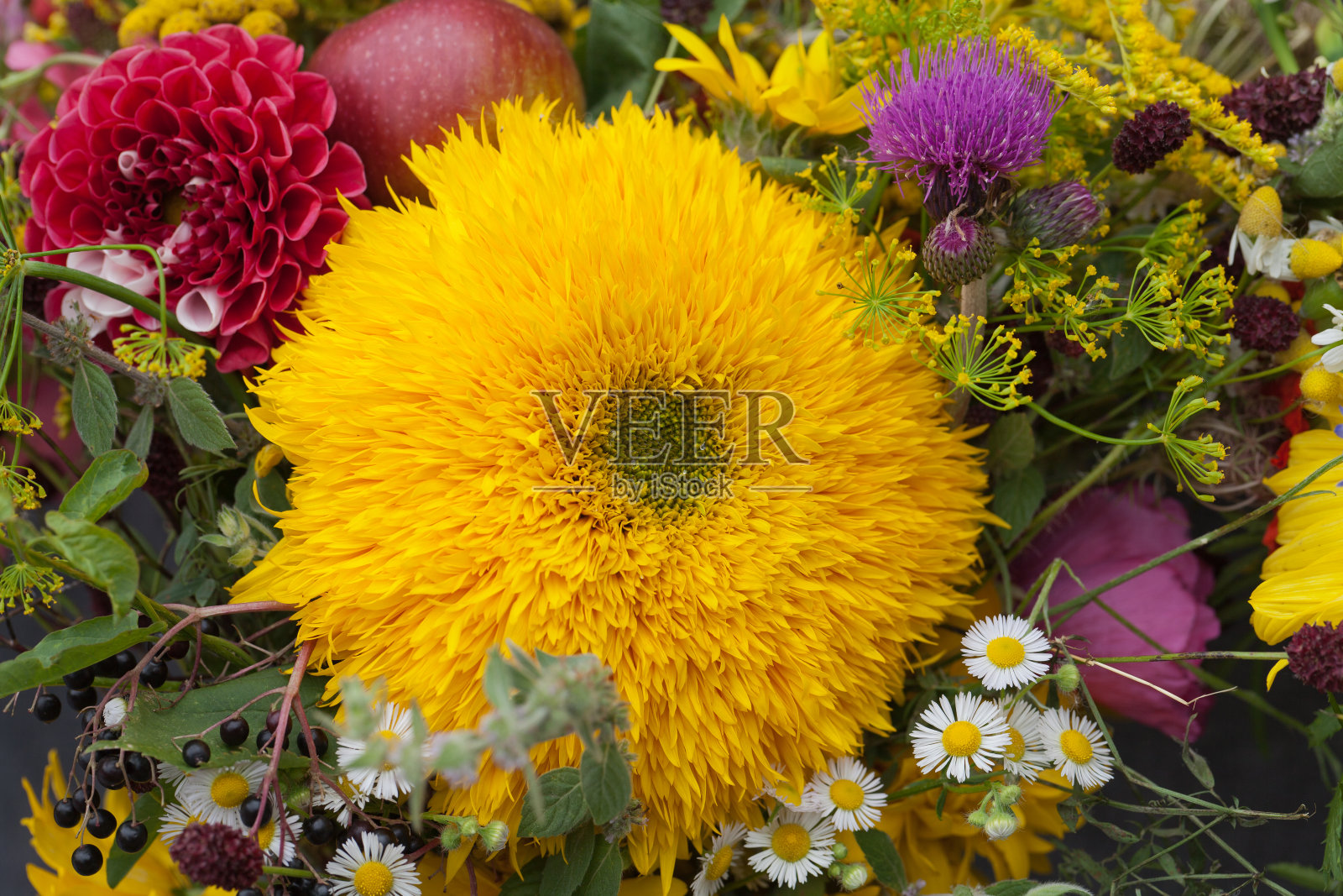 一束鲜花和香草照片摄影图片