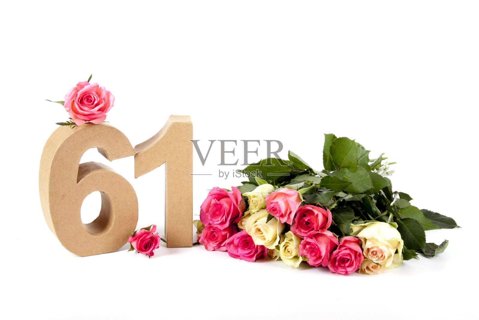 在玫瑰花坛上的岁月照片摄影图片