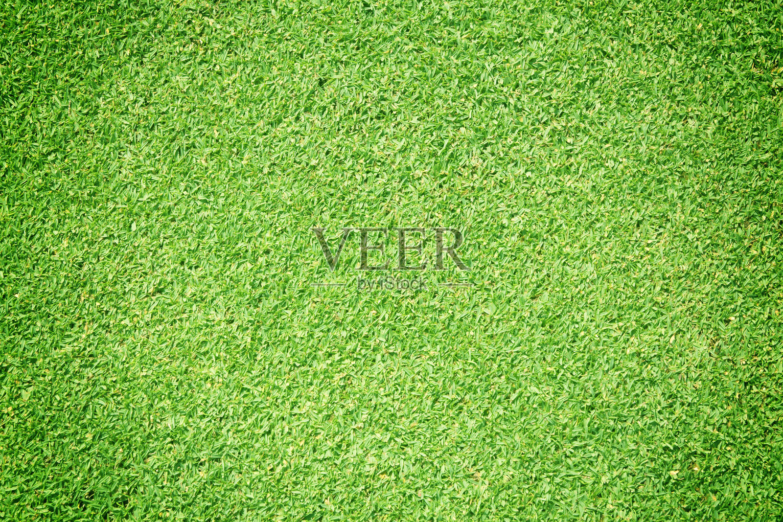 绿草的背景设计元素图片