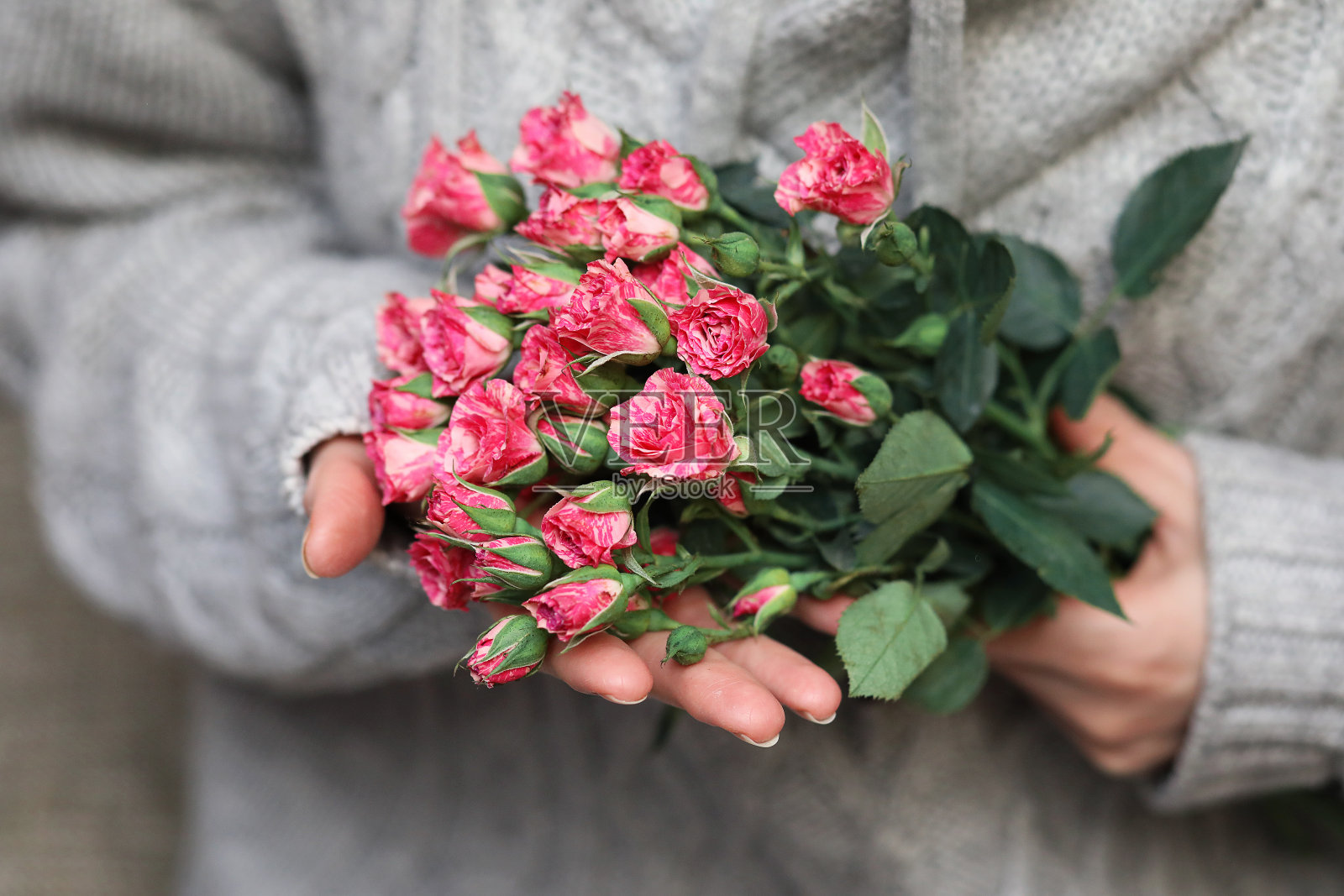 背景是女性手中的玫瑰花束照片摄影图片