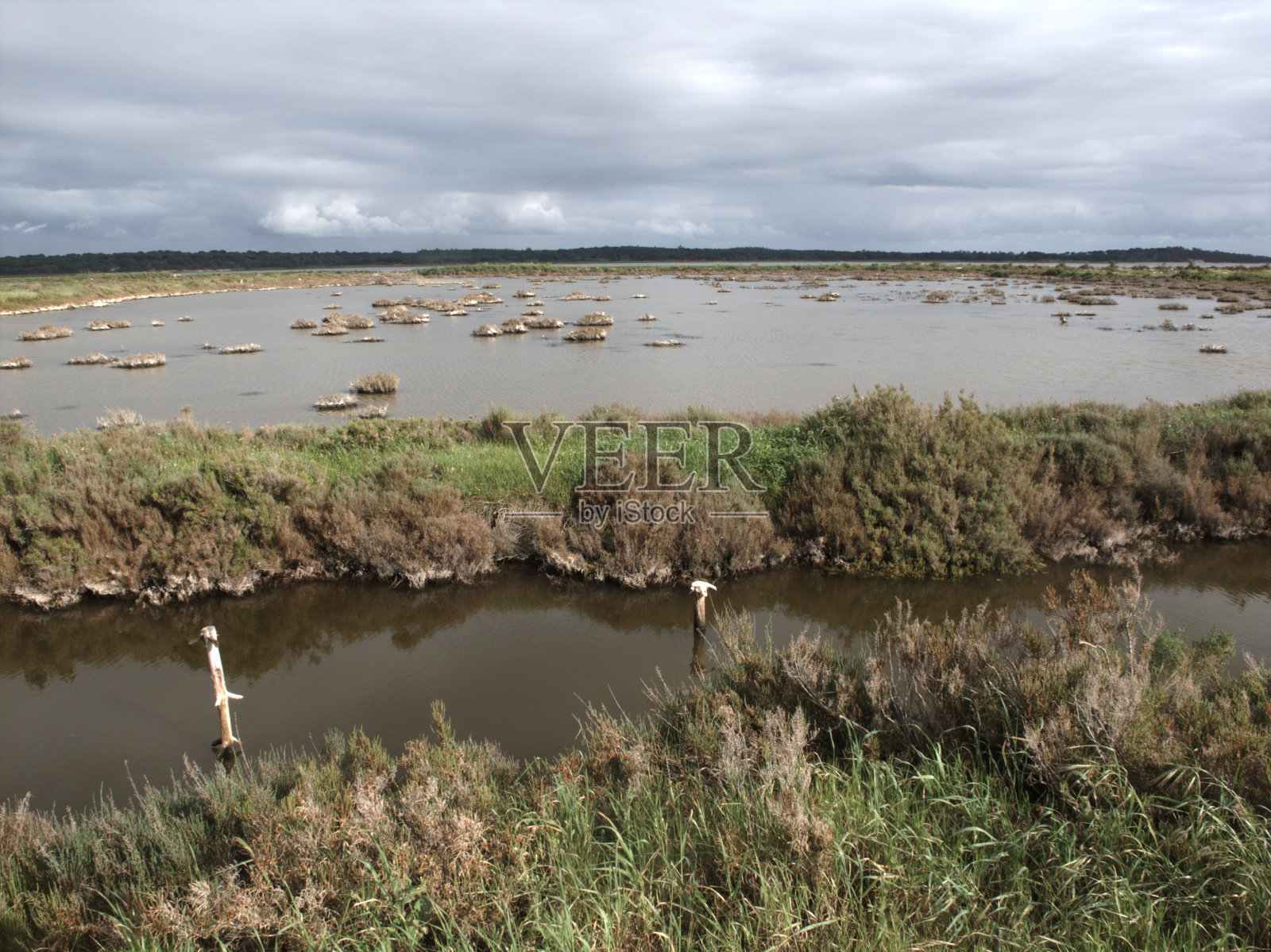 茶道河口,葡萄牙。靠近Mitrena，自然保护区照片摄影图片