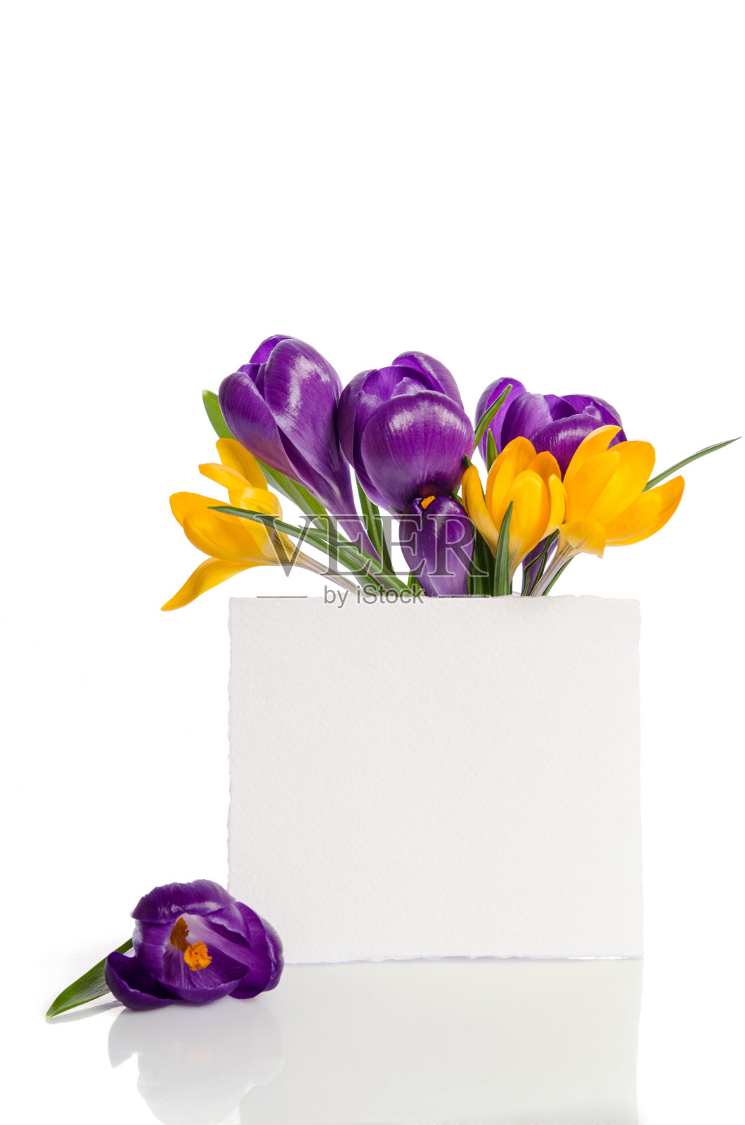 一束藏在花瓶里的藏红花，空卡片上写着你的短信照片摄影图片