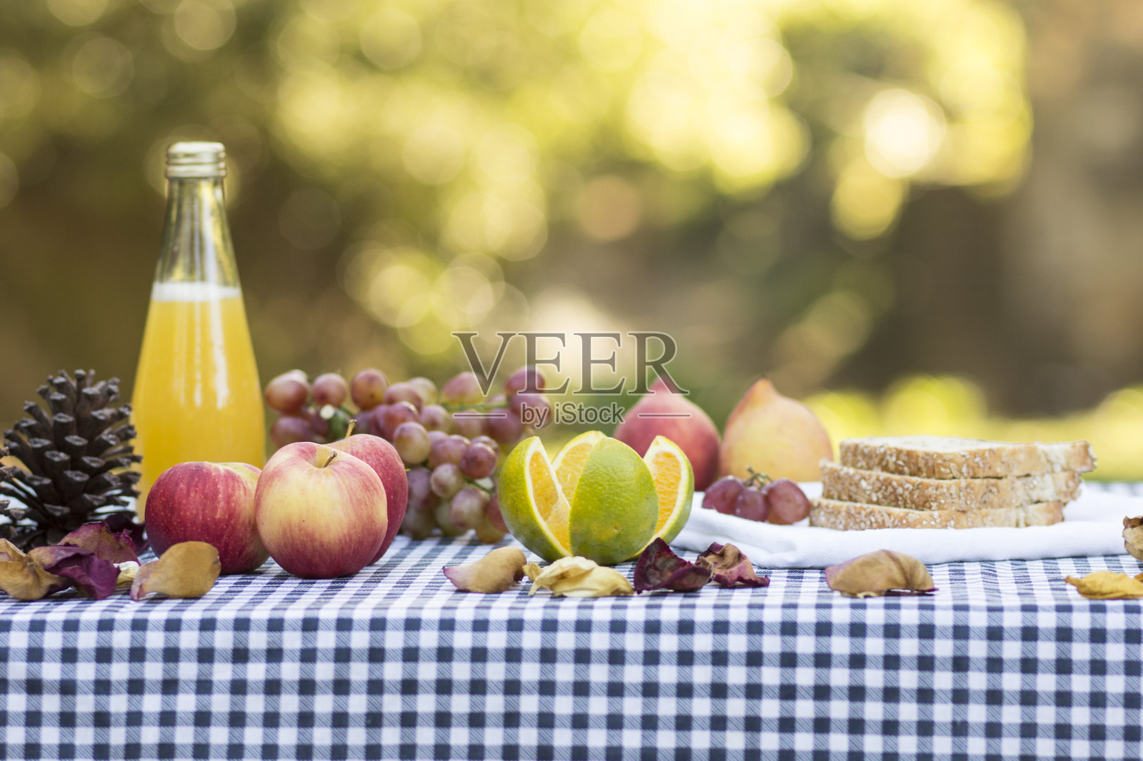 野餐照片摄影图片