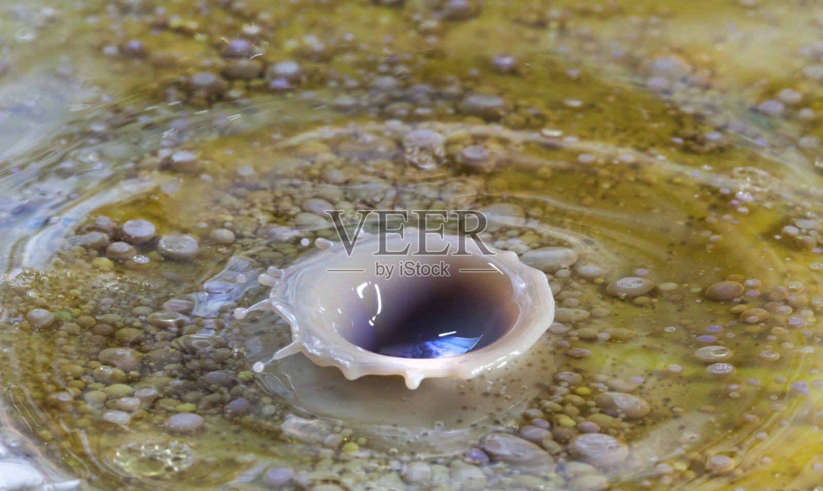 盆地。照片摄影图片