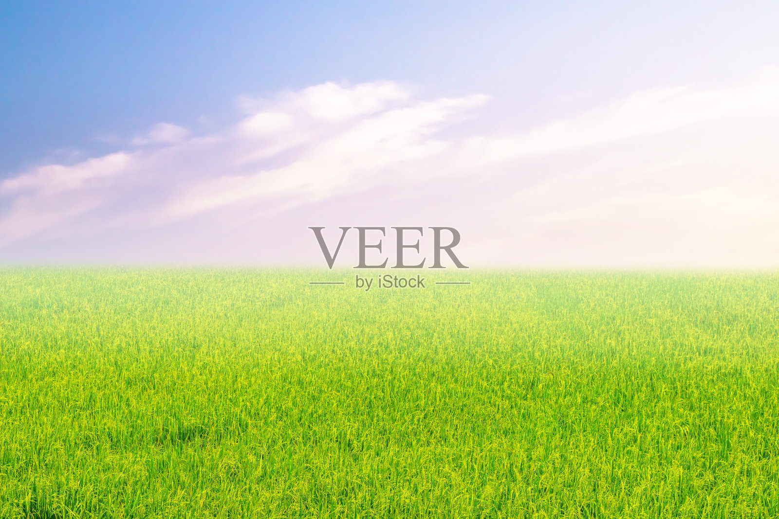 夕阳下的草原，明亮的天空照片摄影图片