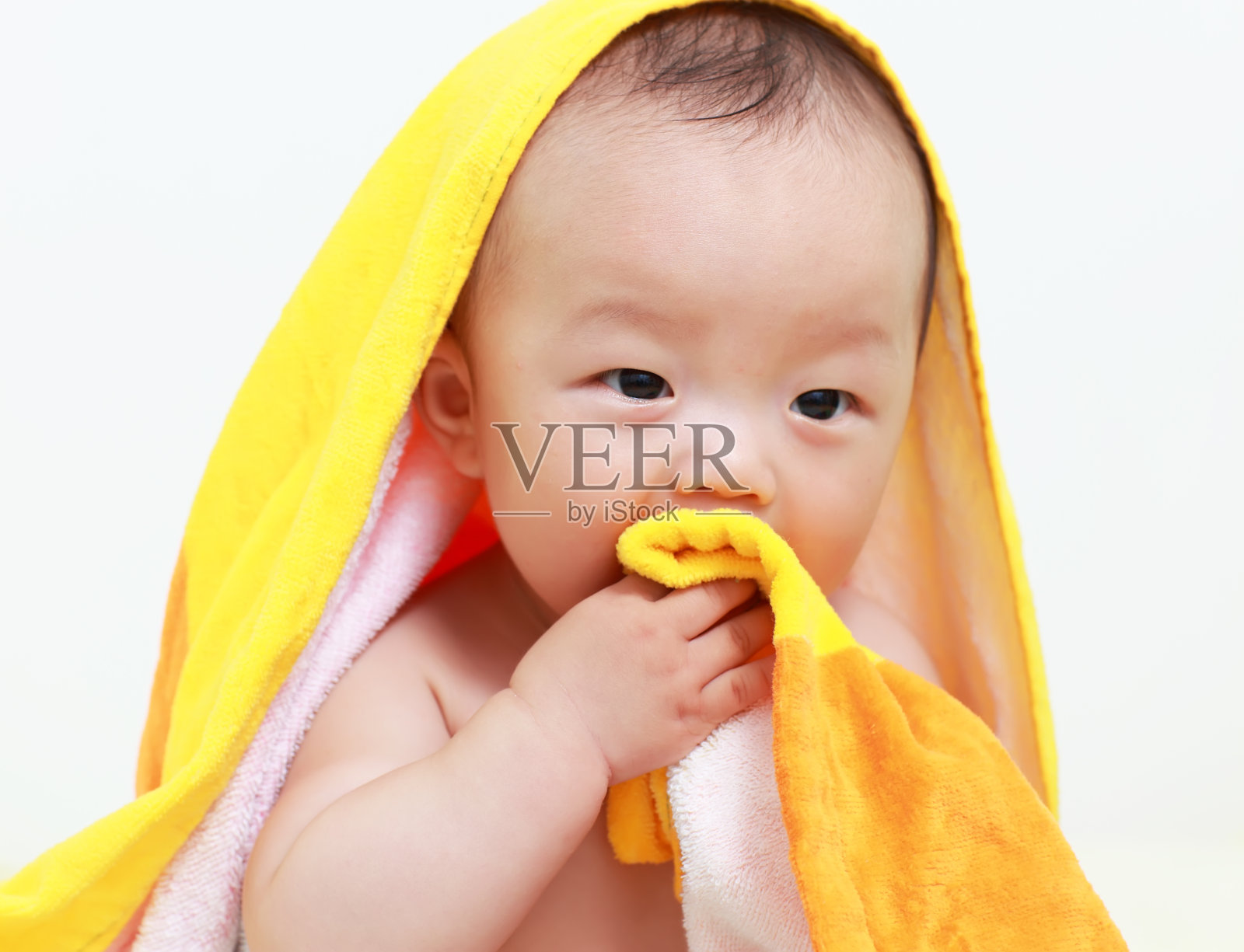 婴儿照片摄影图片