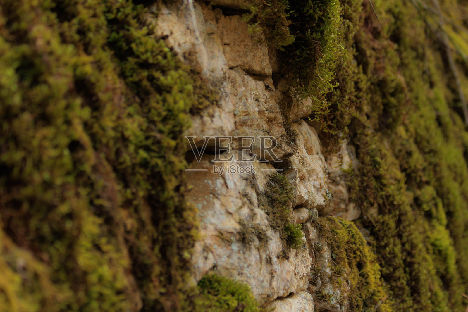 古老的墙照片摄影图片