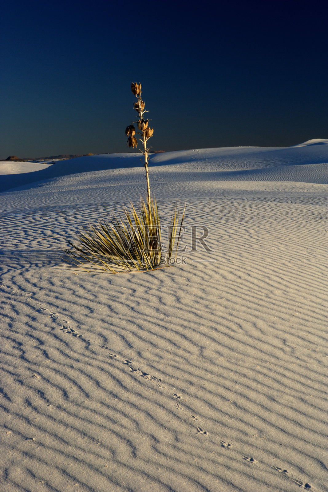 白沙照片摄影图片