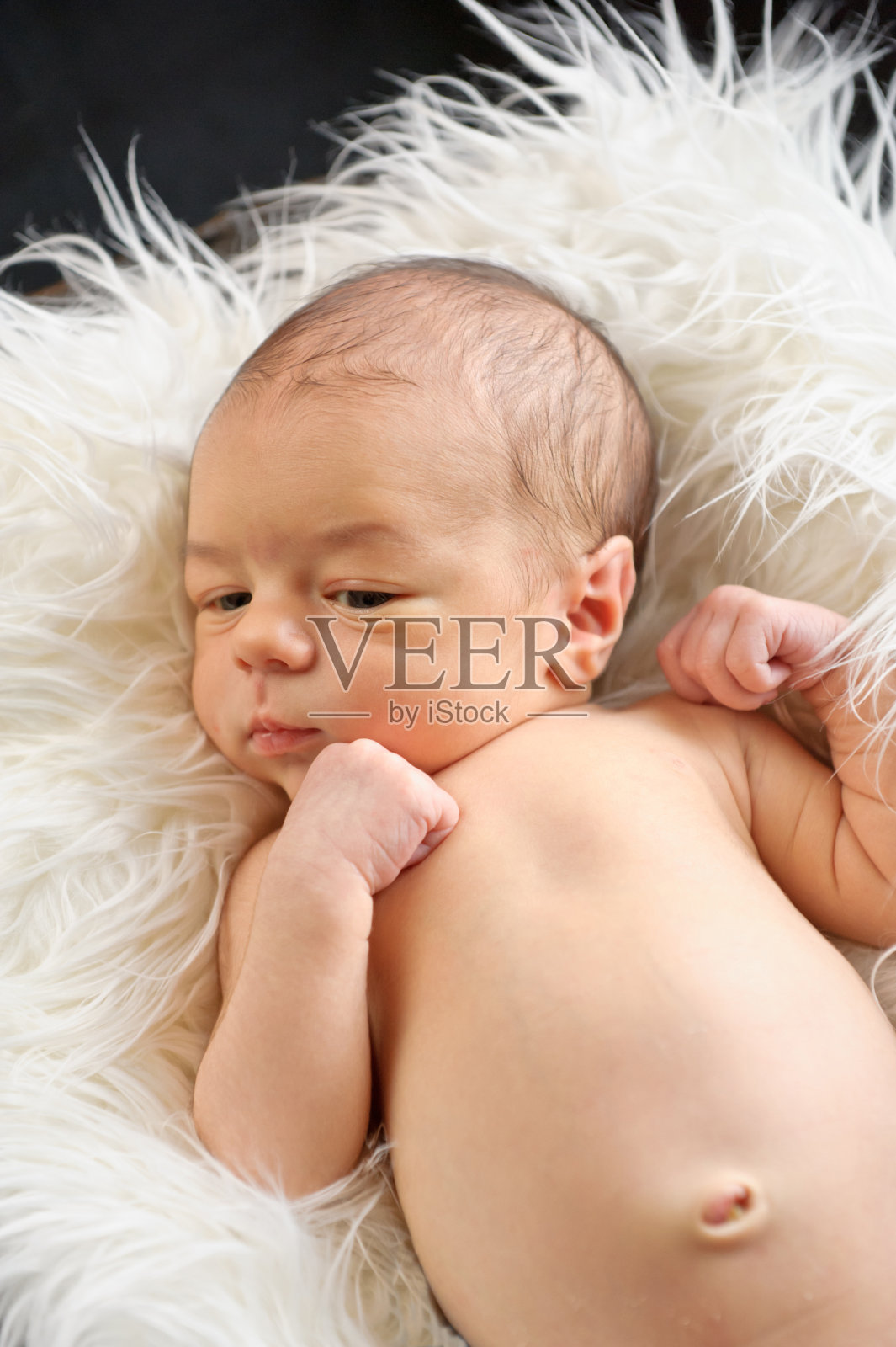 五天照片摄影图片