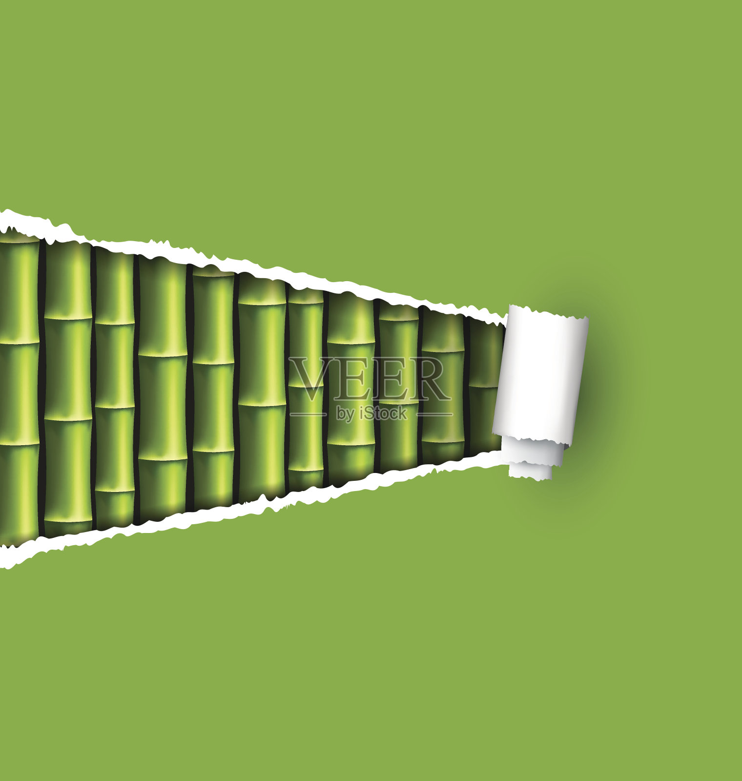 绿色竹林与撕纸框架孤立在白色插画图片素材