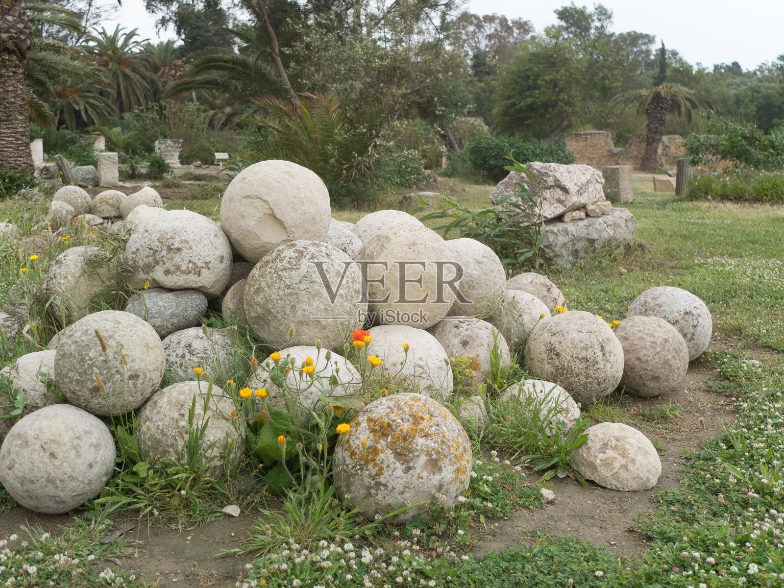 突尼斯迦太基古城遗址照片摄影图片