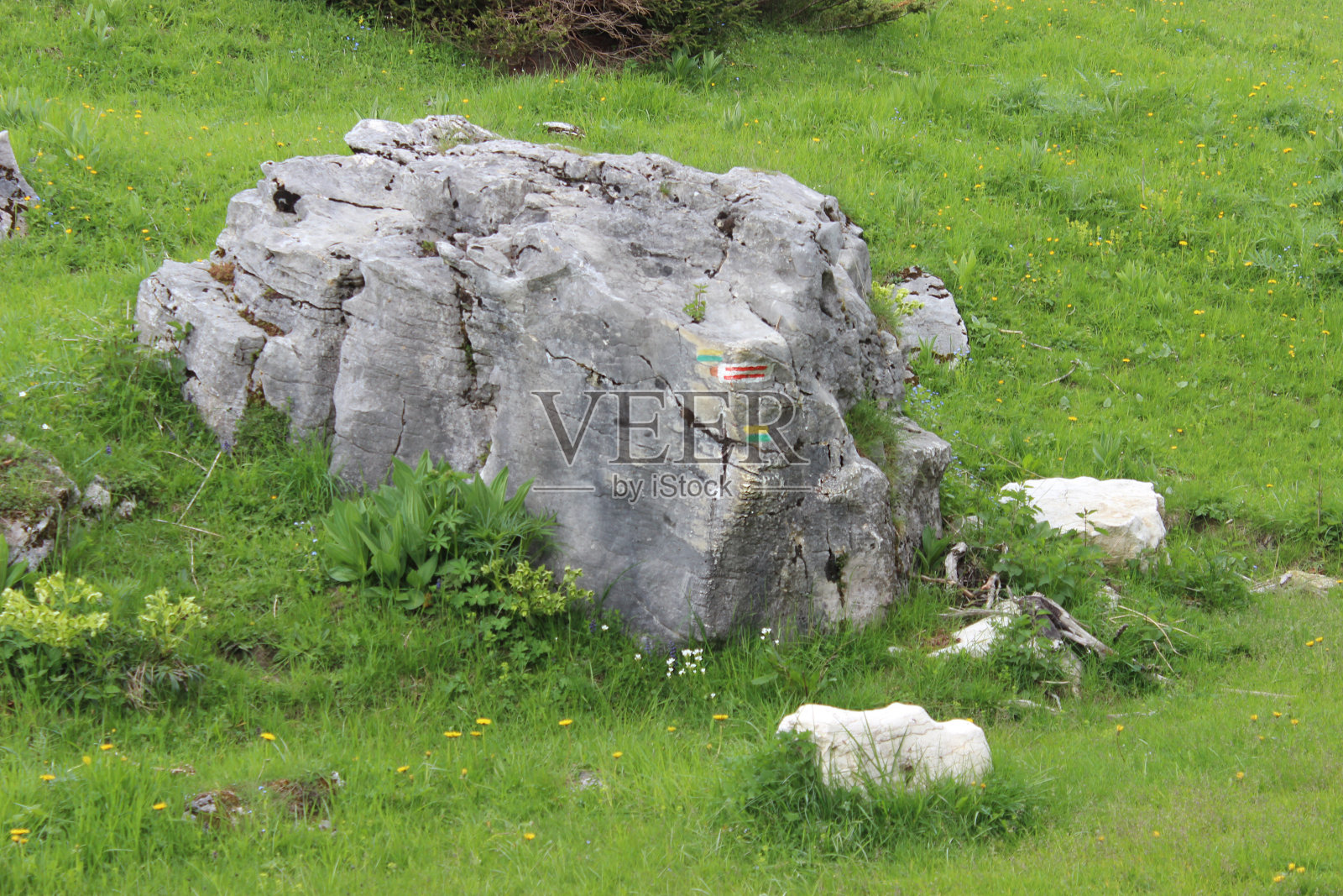 GR小径照片摄影图片