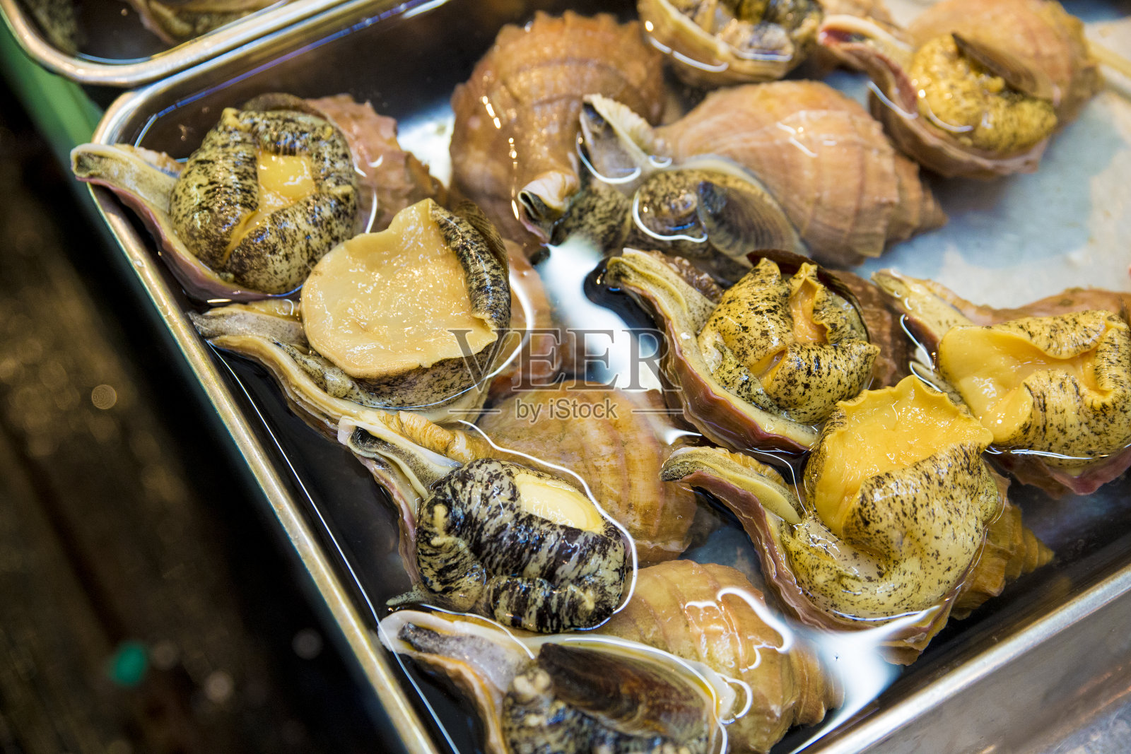 鱼市金属托盘中的水中贝壳照片摄影图片
