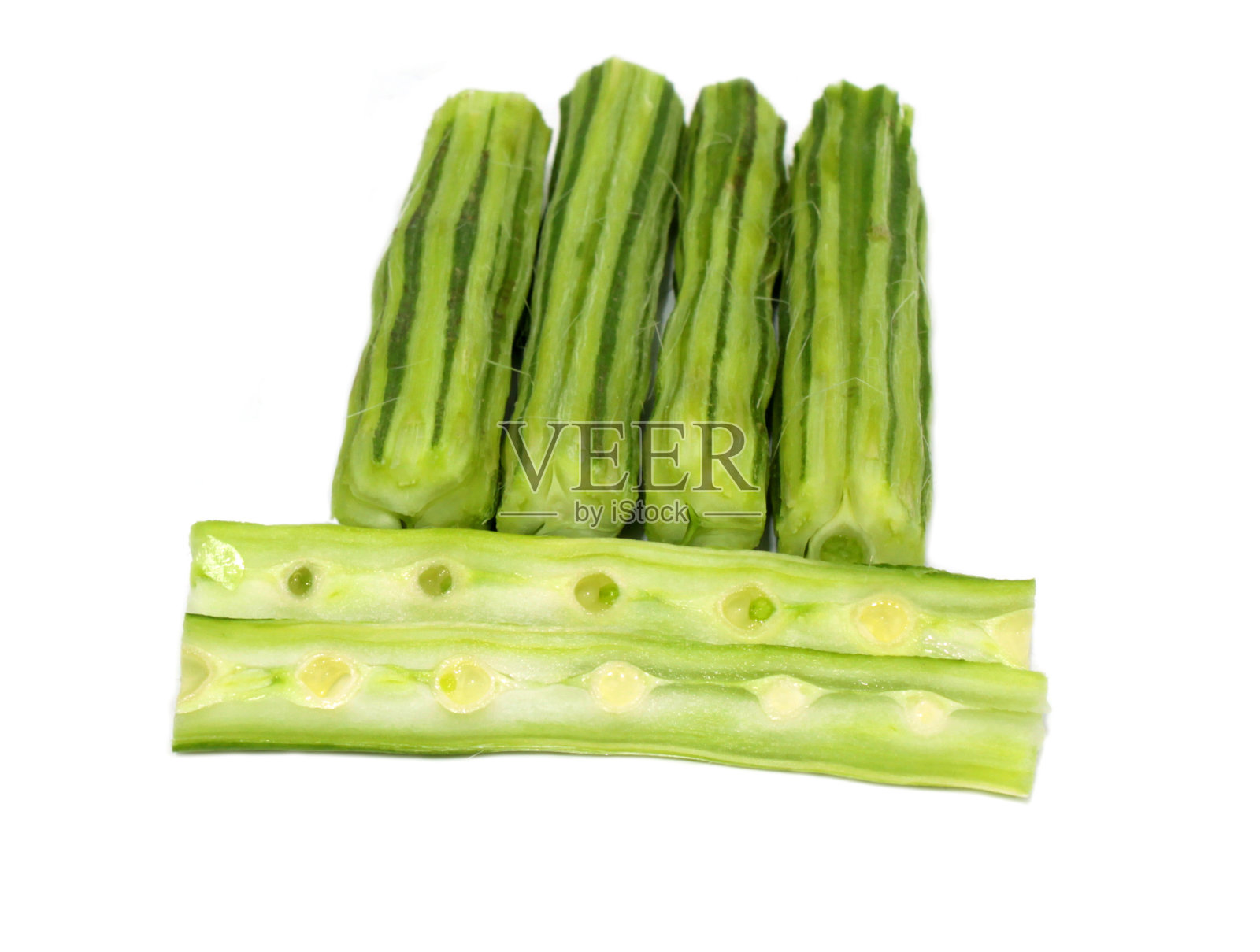 切片辣木属鉴定照片摄影图片