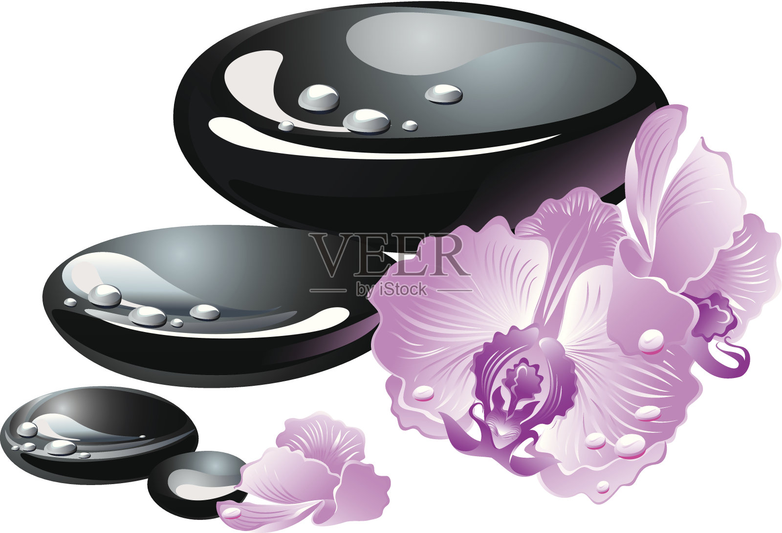 温泉石头和兰花花插画图片素材