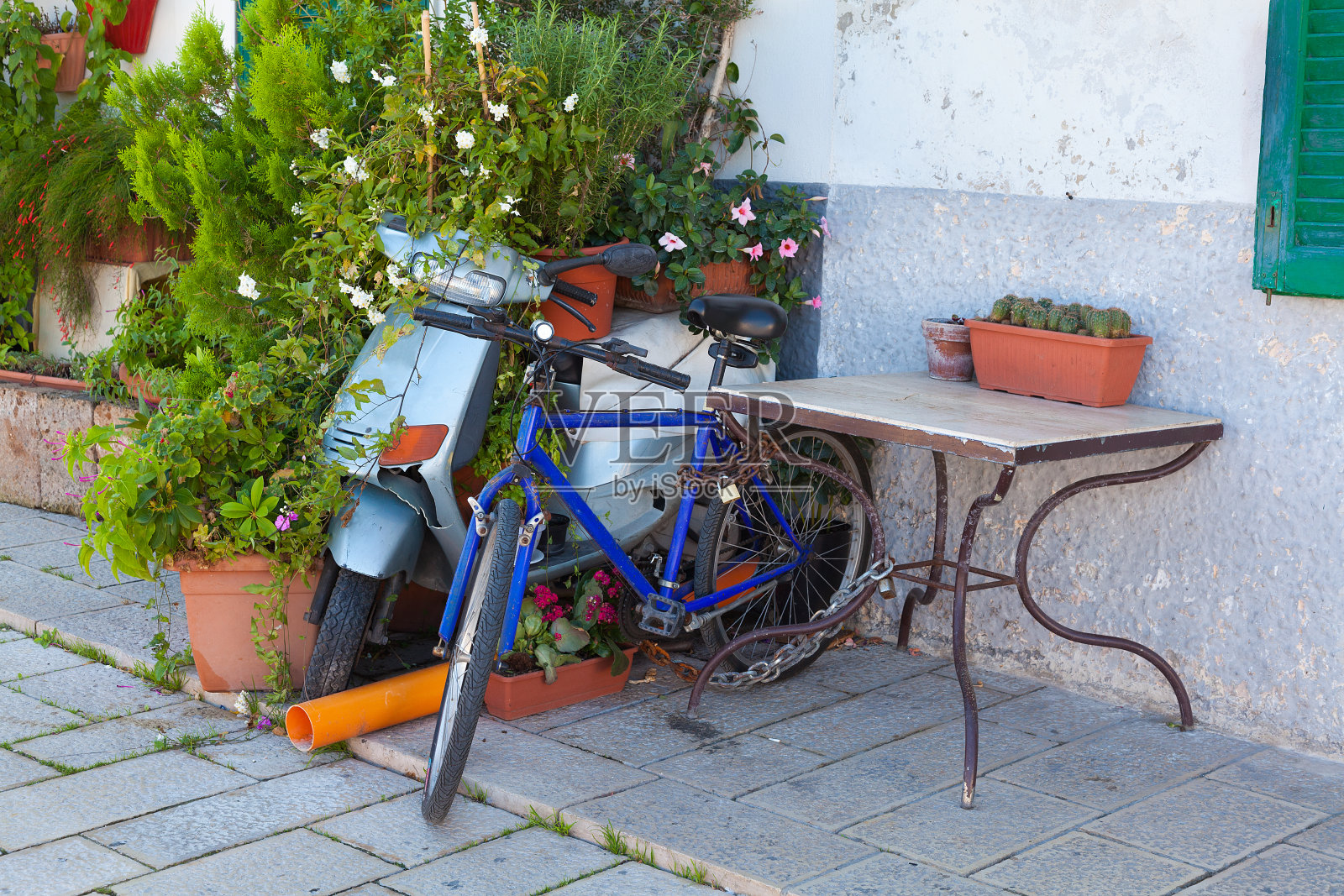 一辆自行车和一辆摩托车被灌木丛覆盖照片摄影图片