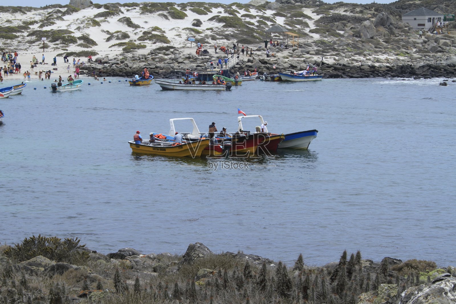 智利拉塞雷纳附近的达马斯岛照片摄影图片