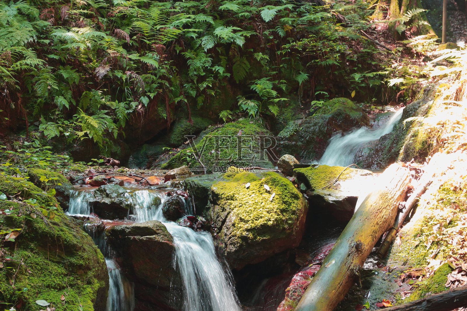 山溪与绿照片摄影图片