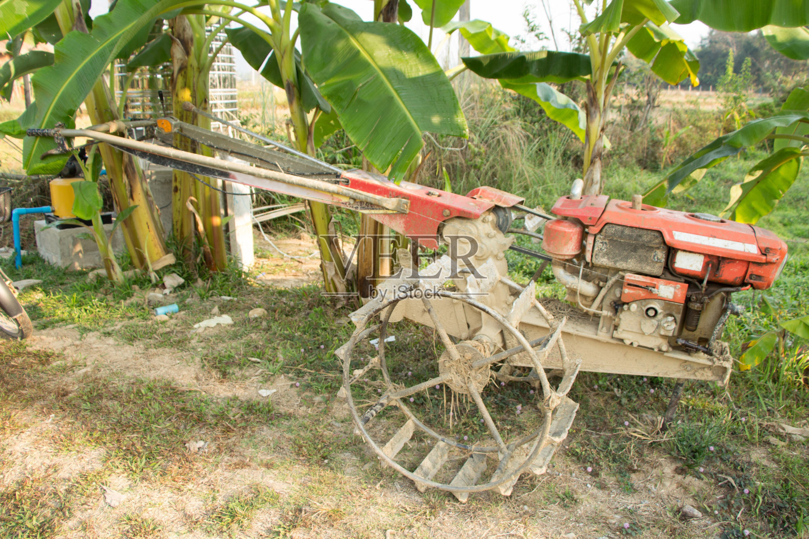 度假胜地万荣，老挝，绿色的稻田照片摄影图片