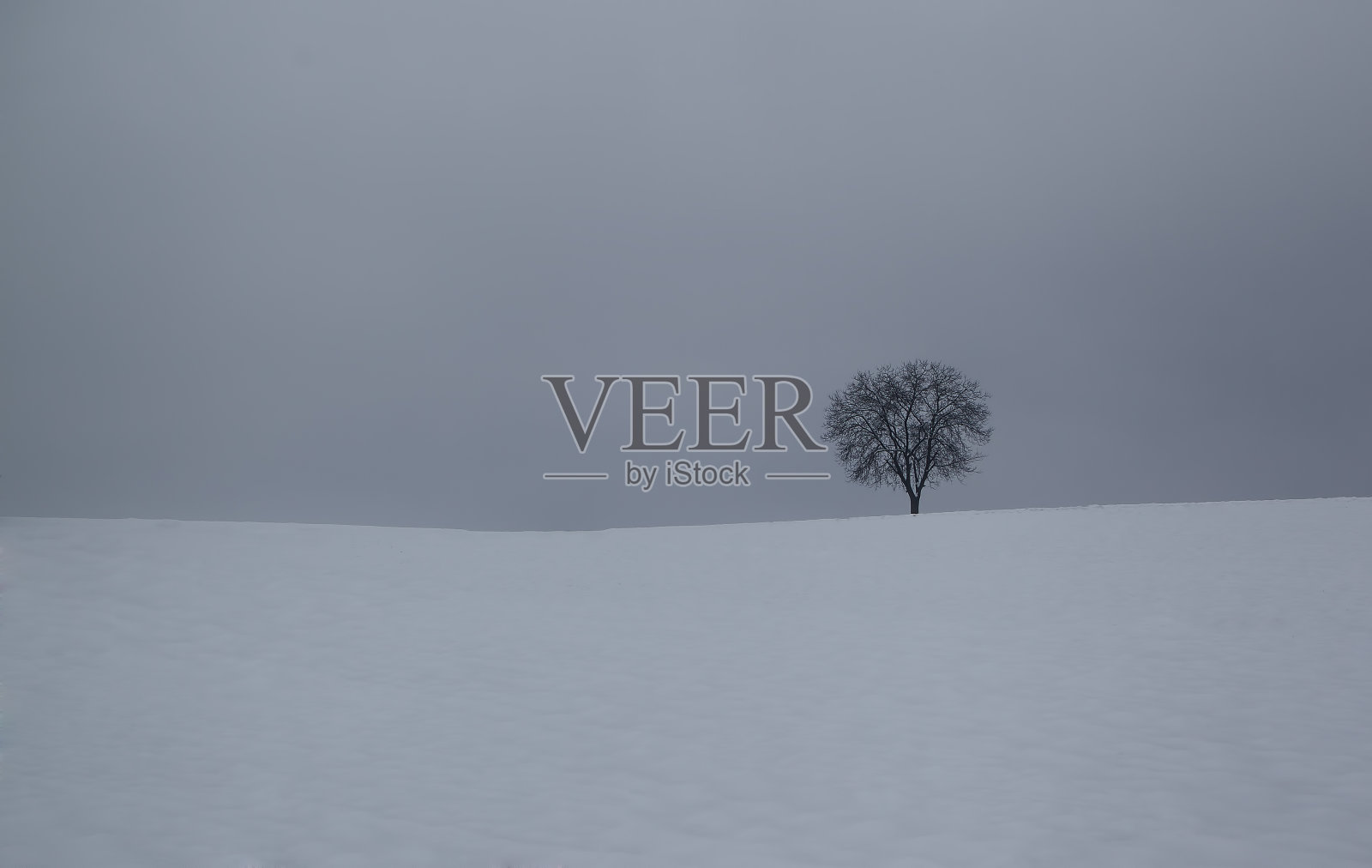 冬天的极简主义照片摄影图片