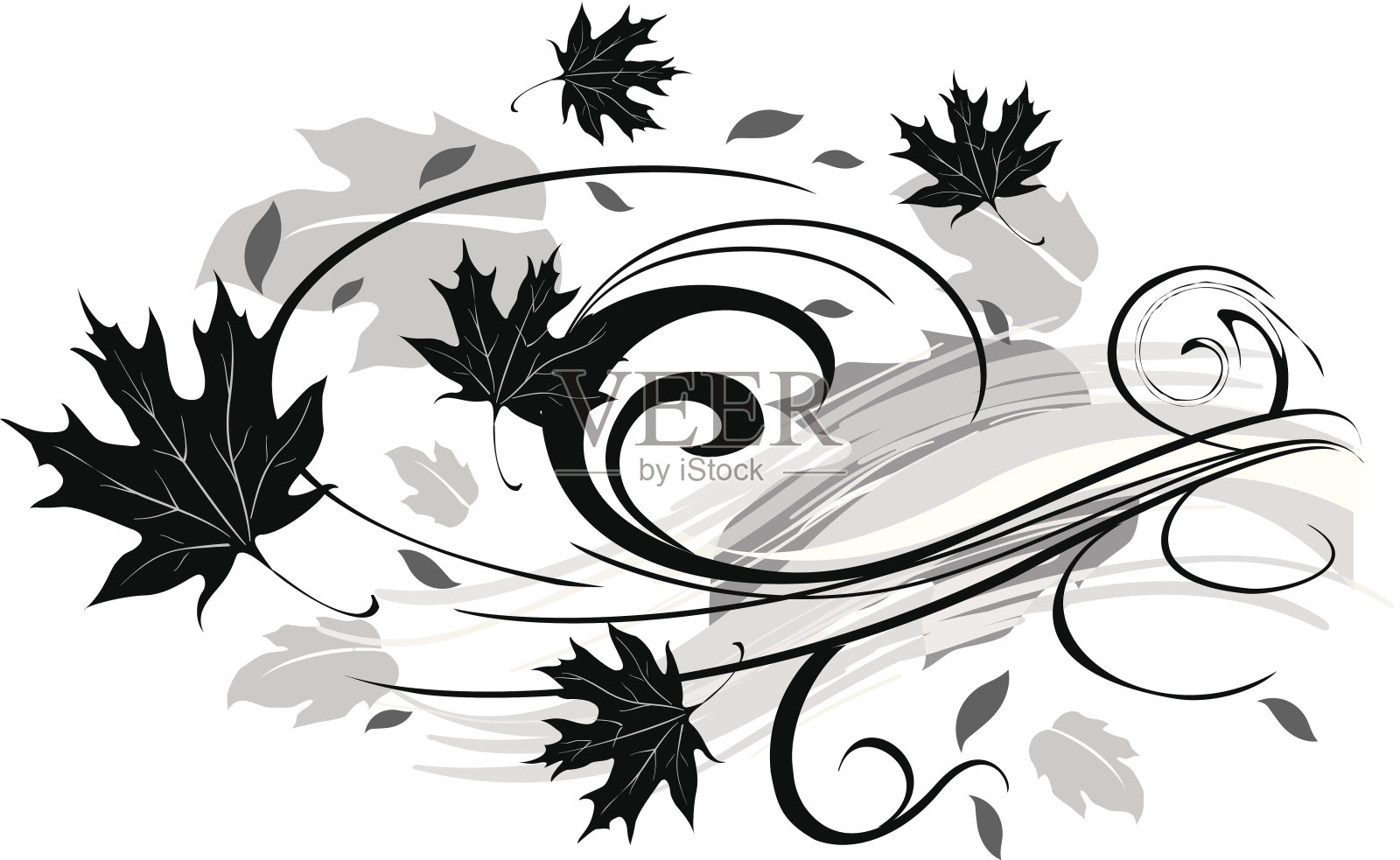 枫叶蓬勃发展插画图片素材