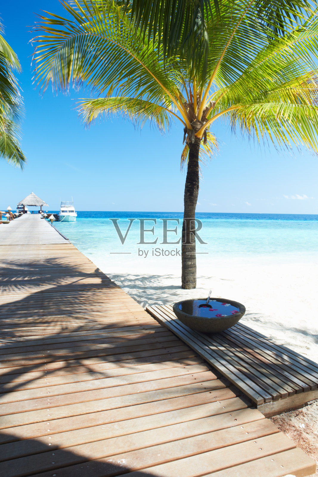 马尔代夫热带棕榈海滩上的木制码头照片摄影图片