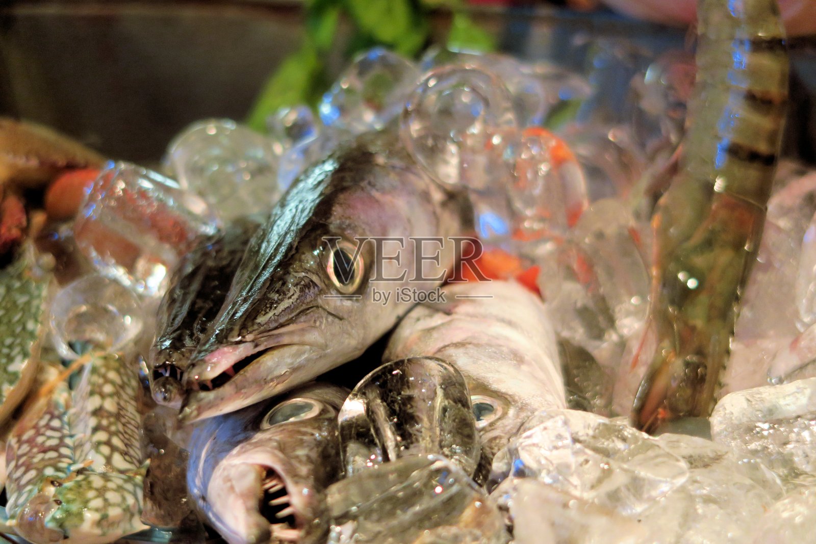 泰国市场上的冰鲜鱼照片摄影图片