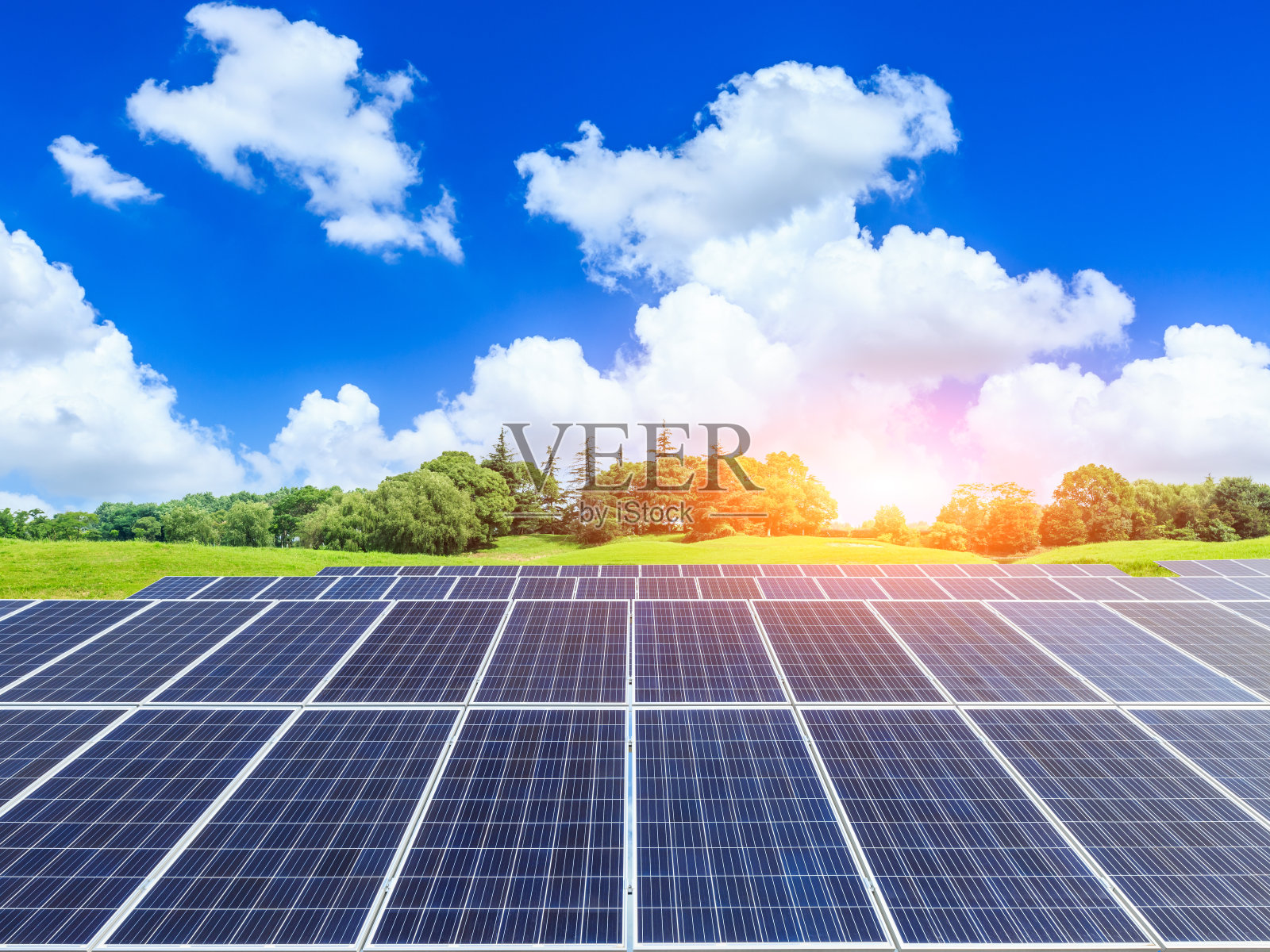 绿色草地上的太阳能电池板照片摄影图片