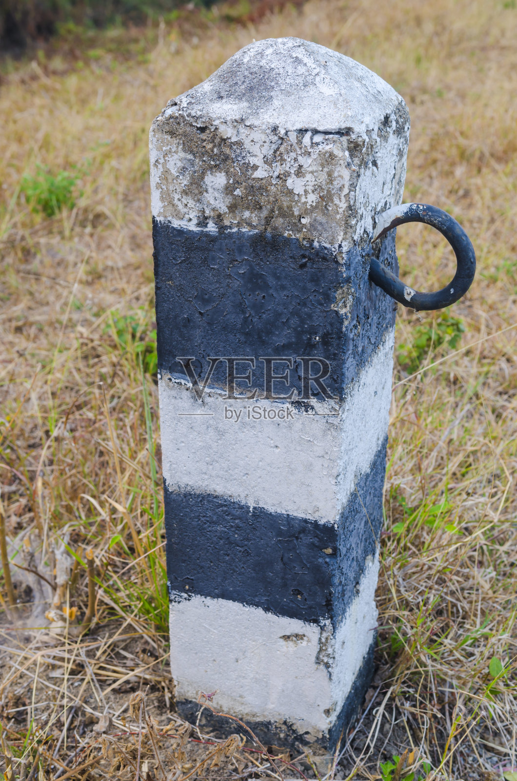 路边天然路面的柱子照片摄影图片