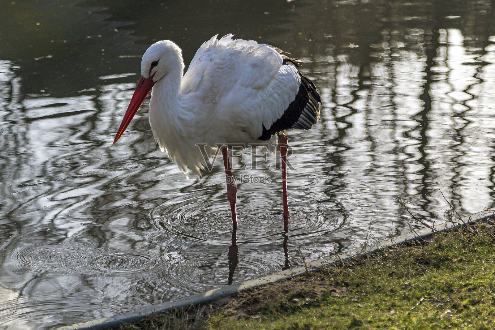坦宁布施 2014照片摄影图片