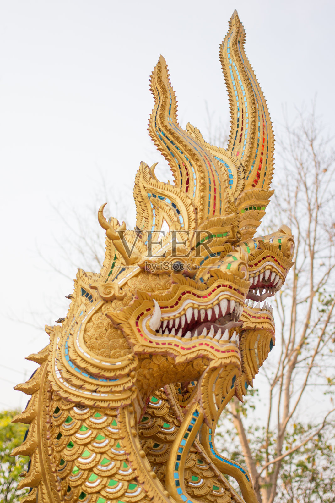 寺庙龙像(居康寺)照片摄影图片