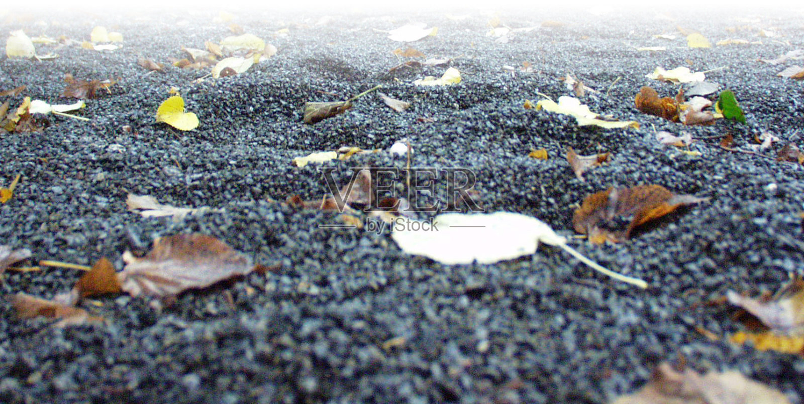 地面照片摄影图片