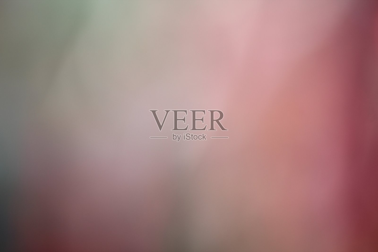 散景灯照片照片摄影图片