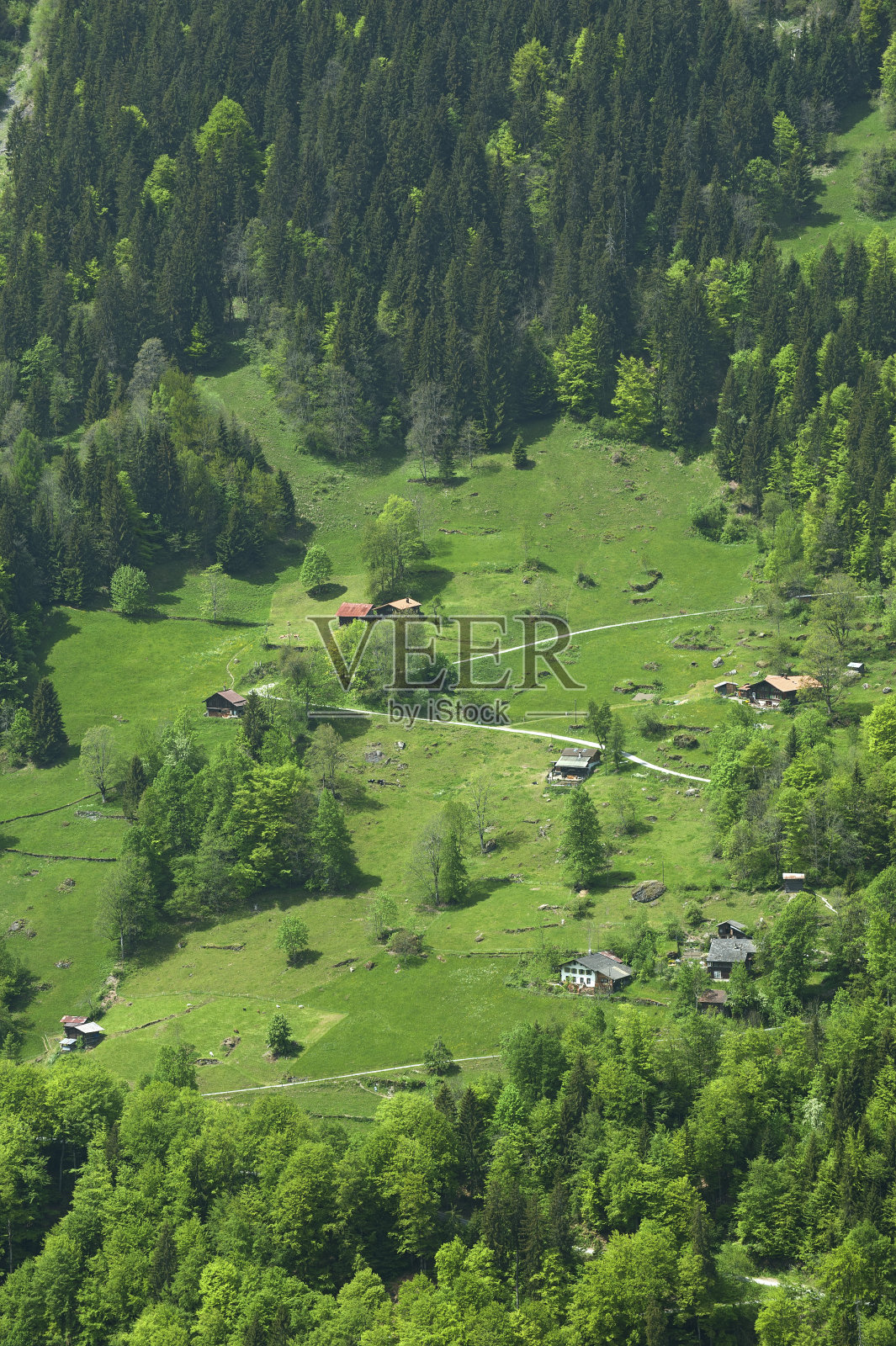 瑞士迷人的风景照片摄影图片