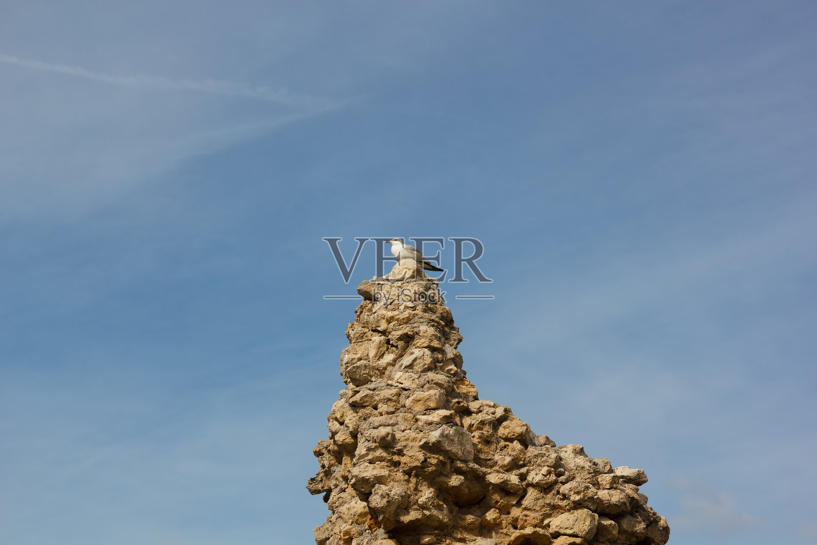 青鸥坐在堡垒墙的废墟上。Hersonissos照片摄影图片