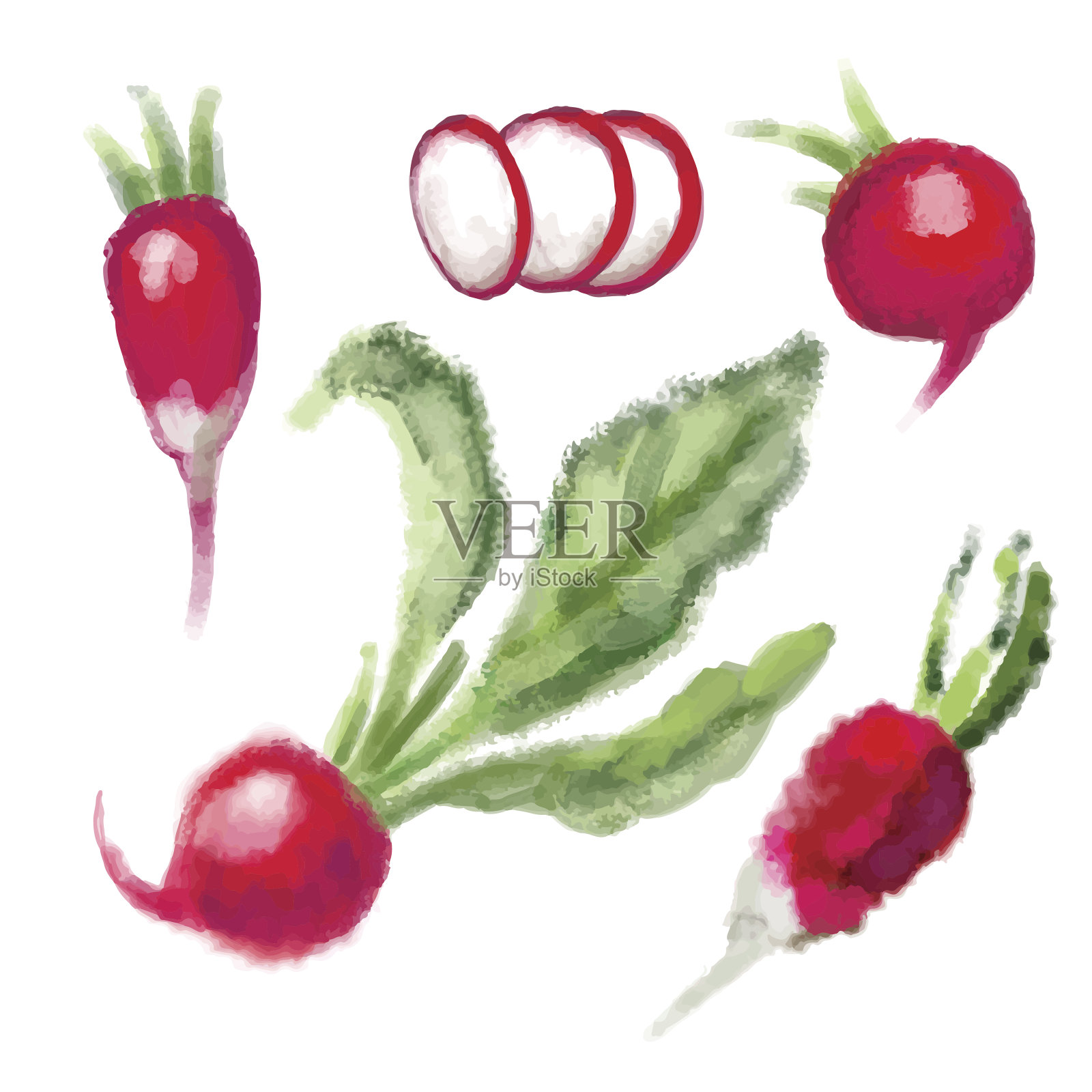 用叶子套萝卜插画图片素材