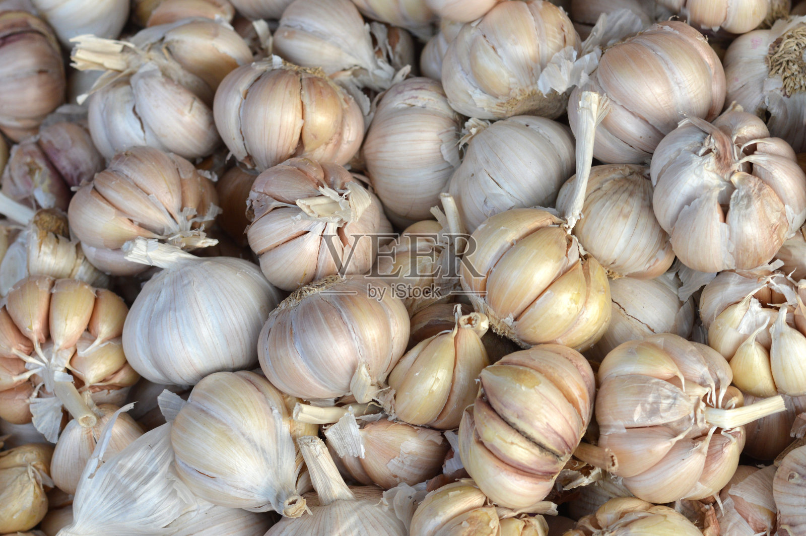 大蒜照片摄影图片