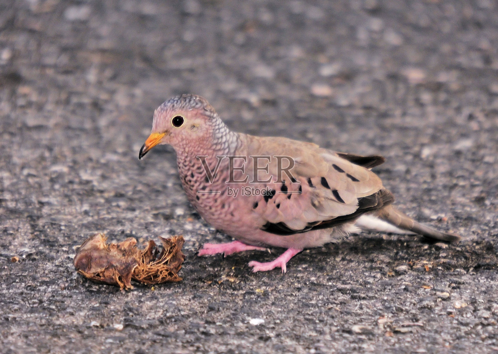 小地方照片摄影图片