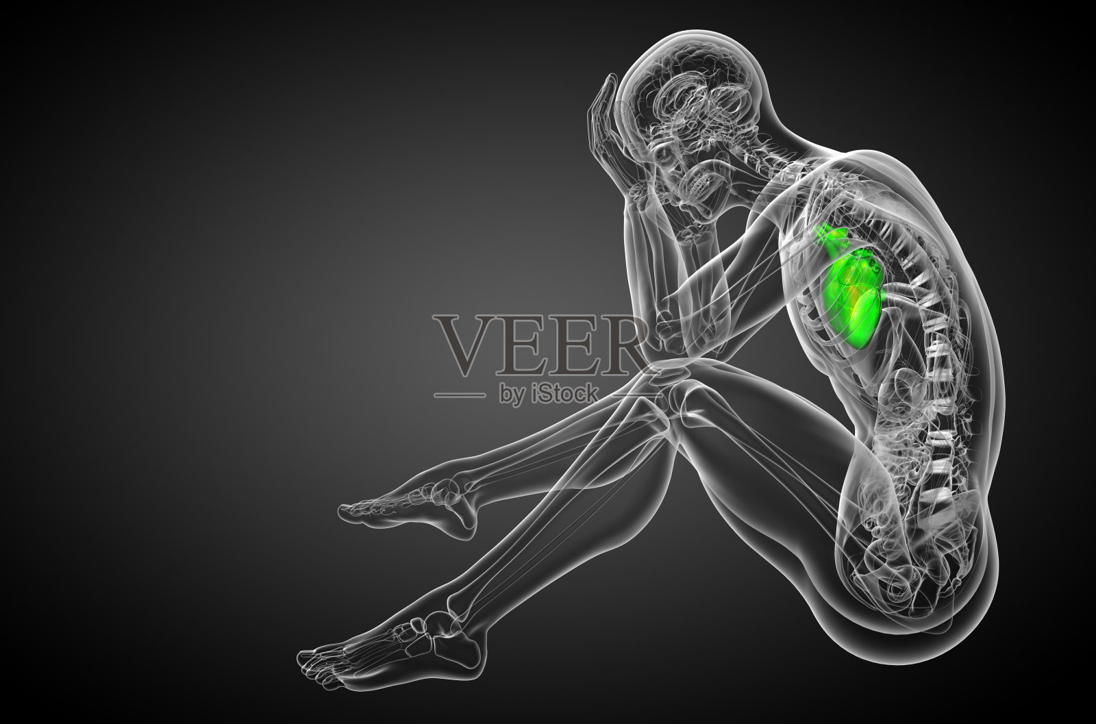人体心脏的3d渲染医学插图照片摄影图片