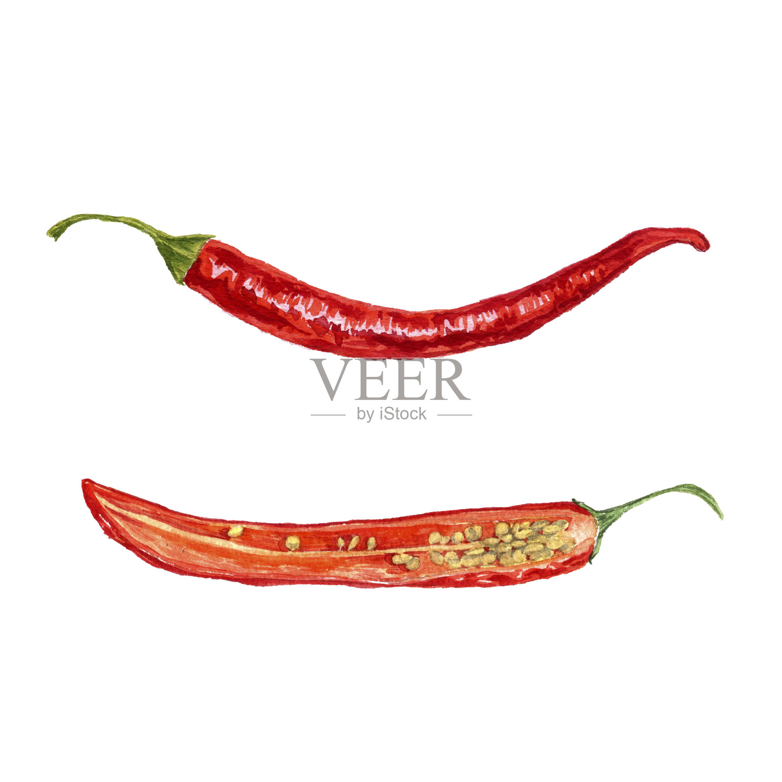 水彩红辣椒照片摄影图片
