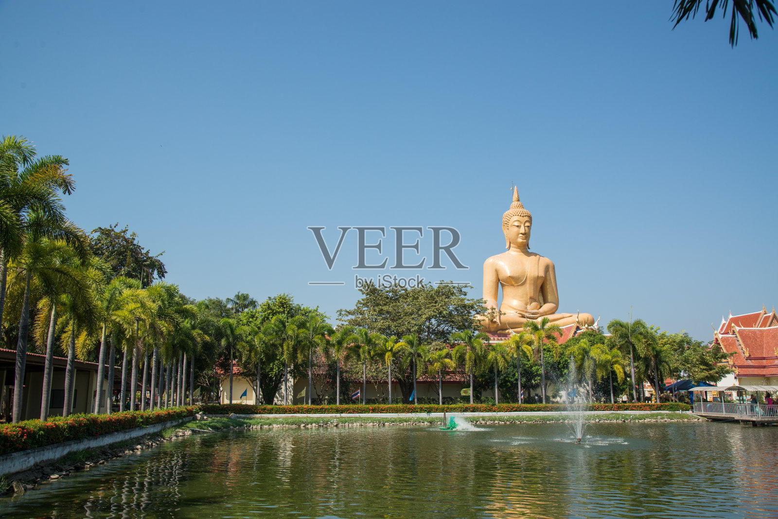 巨大的金佛泰国。照片摄影图片