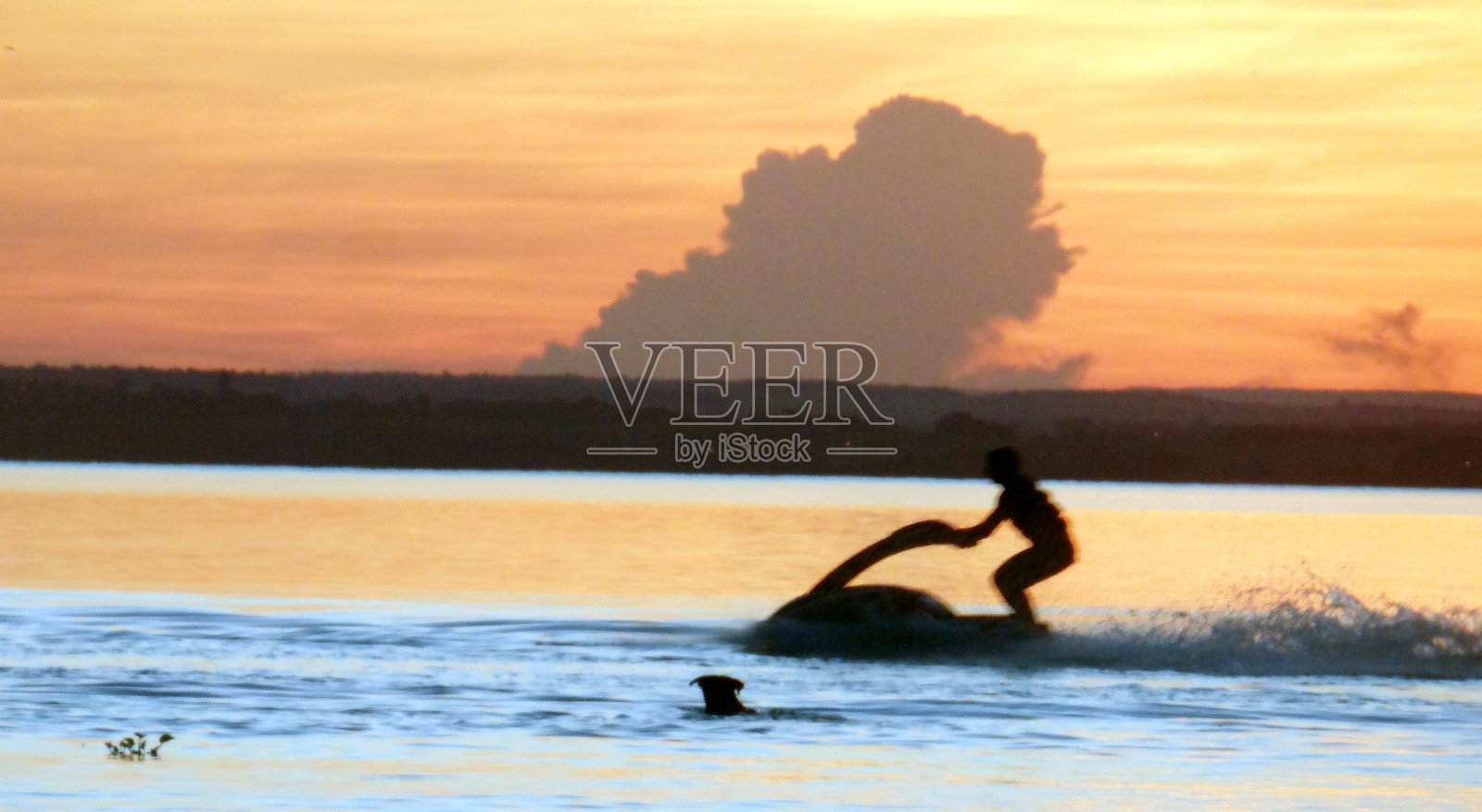 Majestoso照片摄影图片