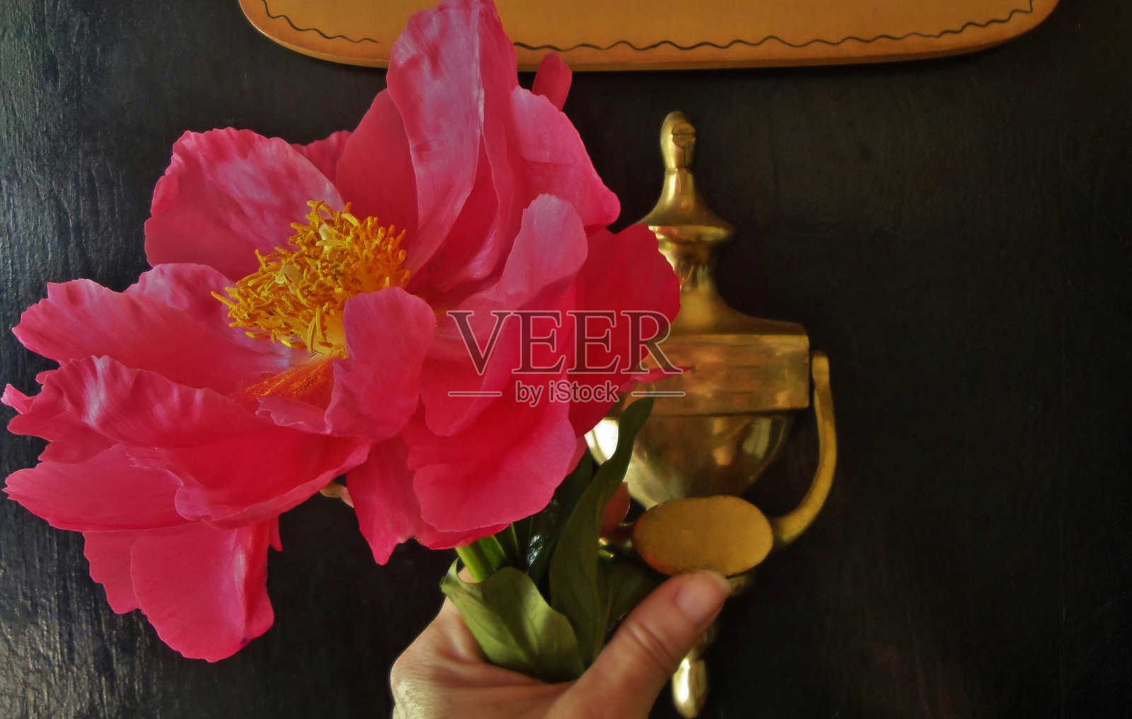 敲门敲照片摄影图片