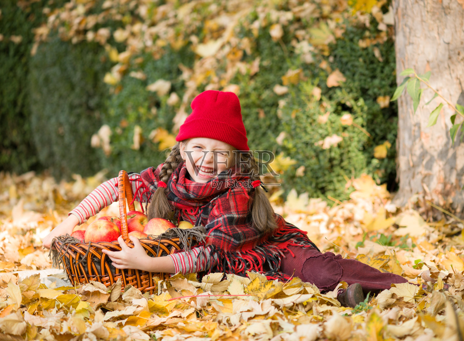 小女孩在秋天的公园里拿着苹果篮子照片摄影图片