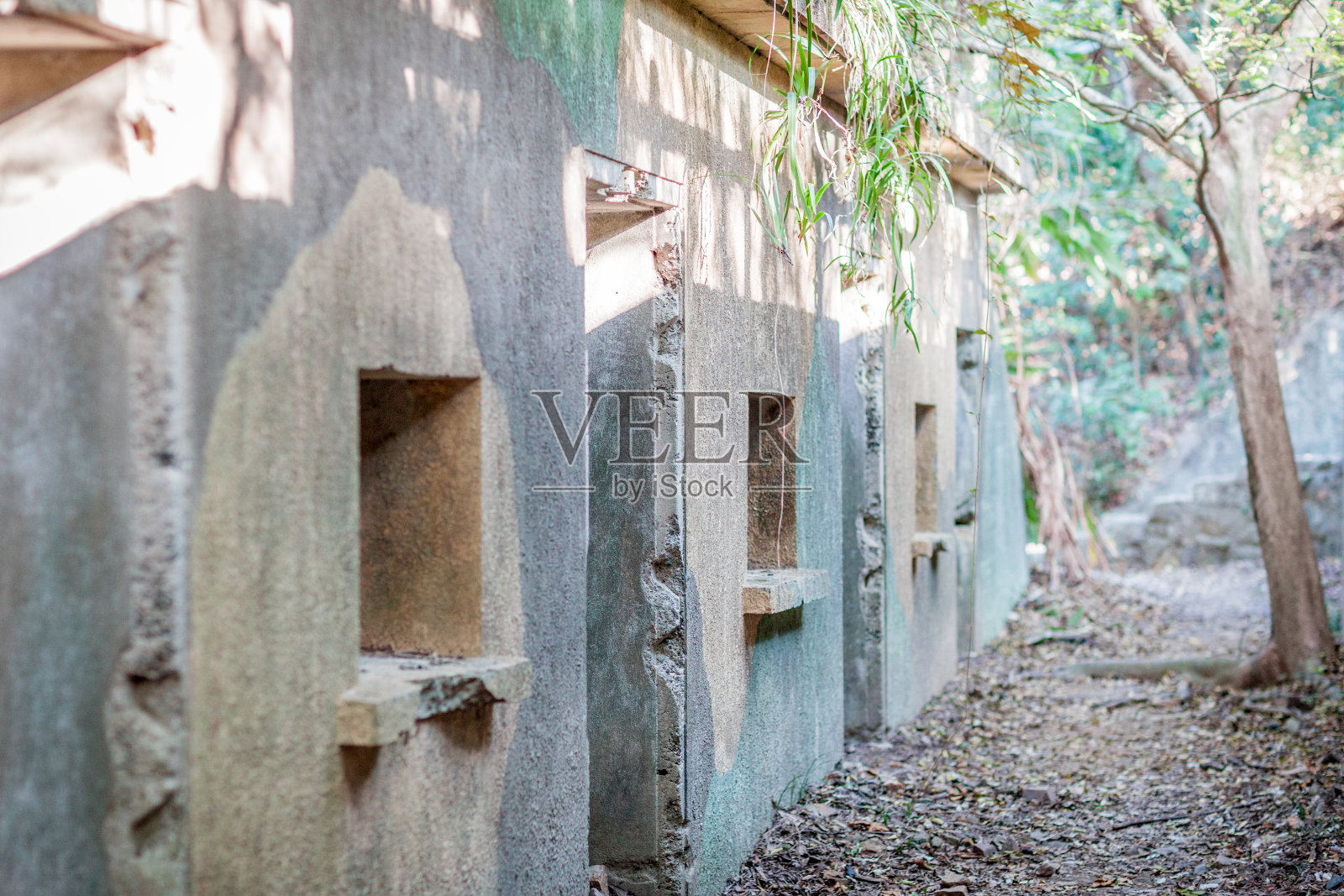 废墟中的废弃建筑照片摄影图片