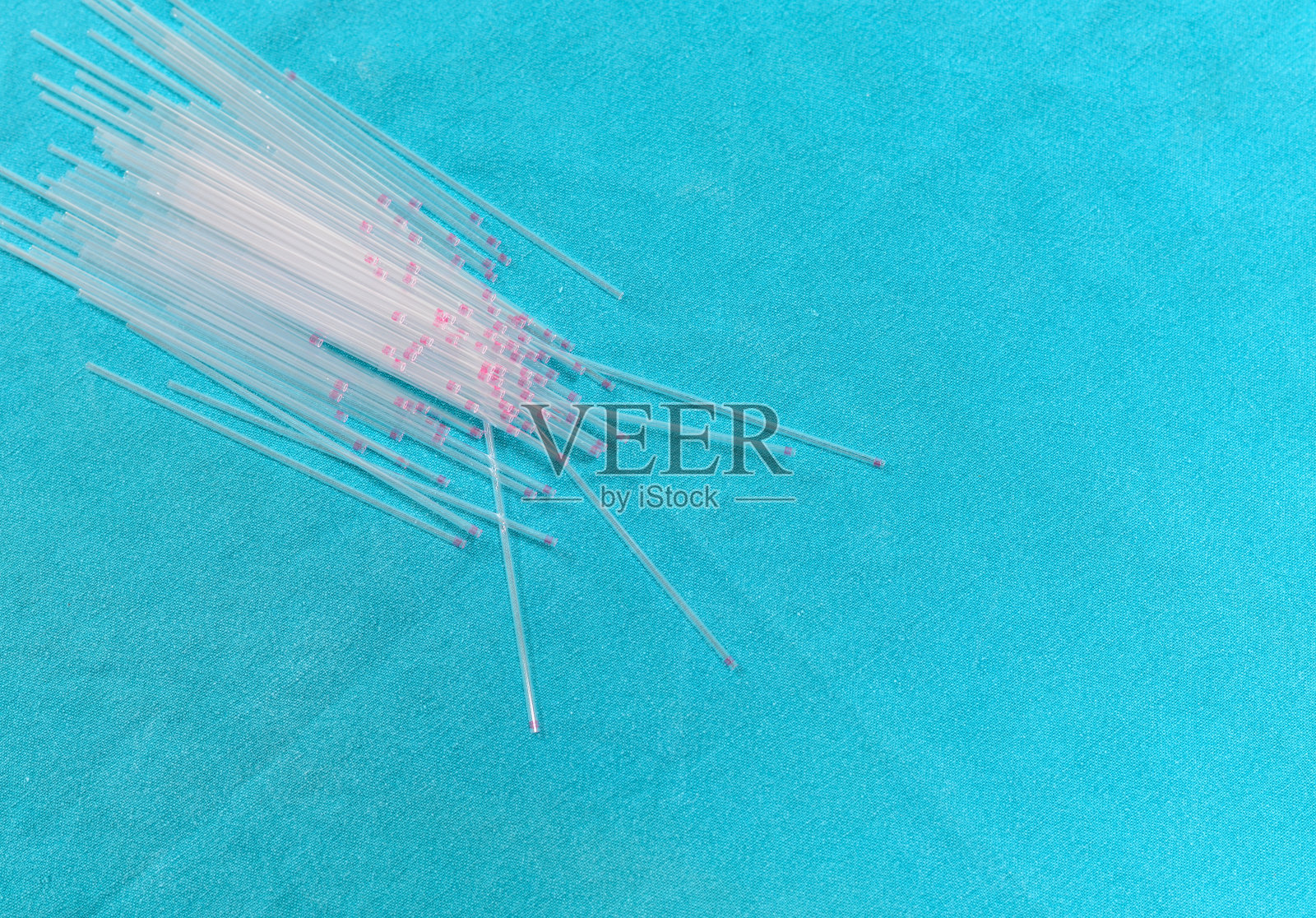 微管照片摄影图片