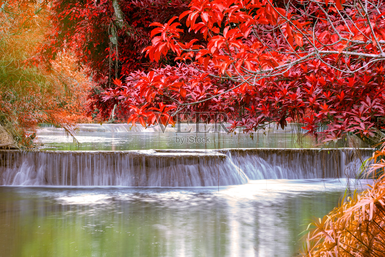 国家公园的雨林瀑布照片摄影图片