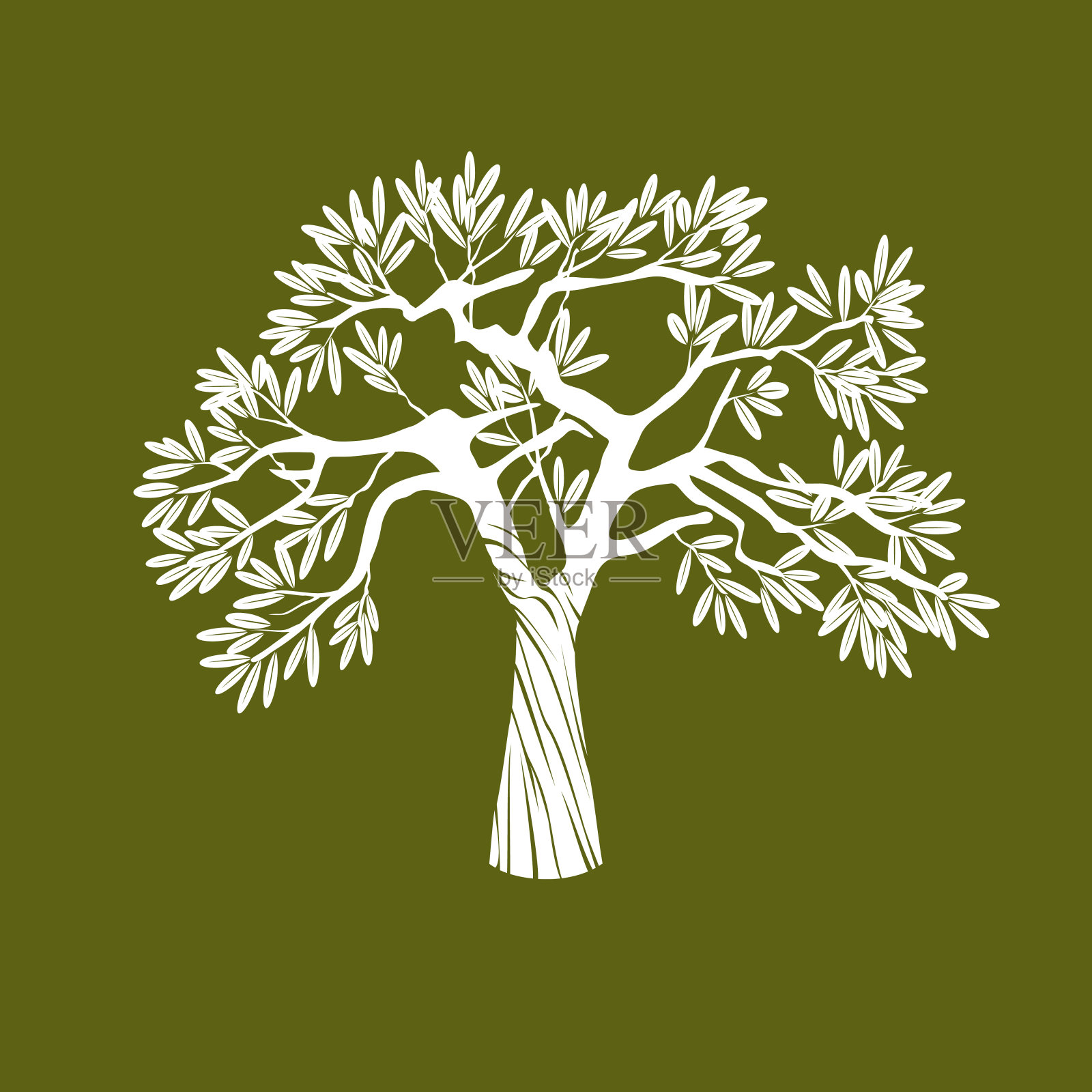 白色向量橄榄树。设计元素图片
